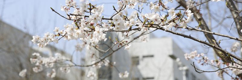 bwin必赢中国官网学术型研究...